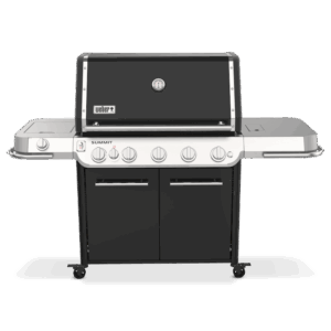 Weber Summit FS38 E Gas Grill